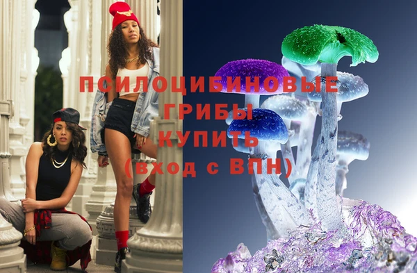 мдпв Корсаков