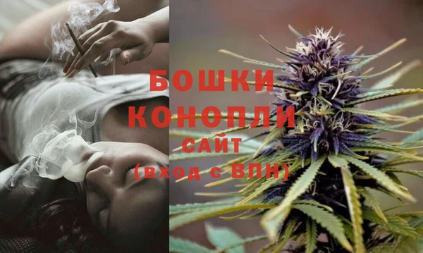 мдпв Корсаков