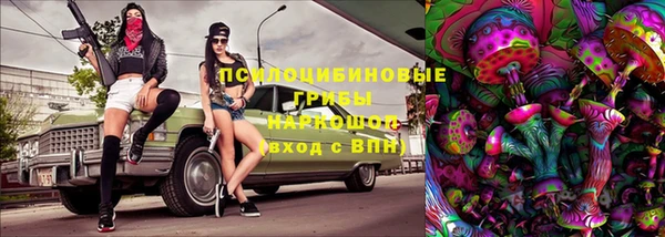 мдпв Корсаков